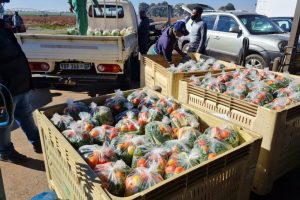 Food Parcels Food Parcels